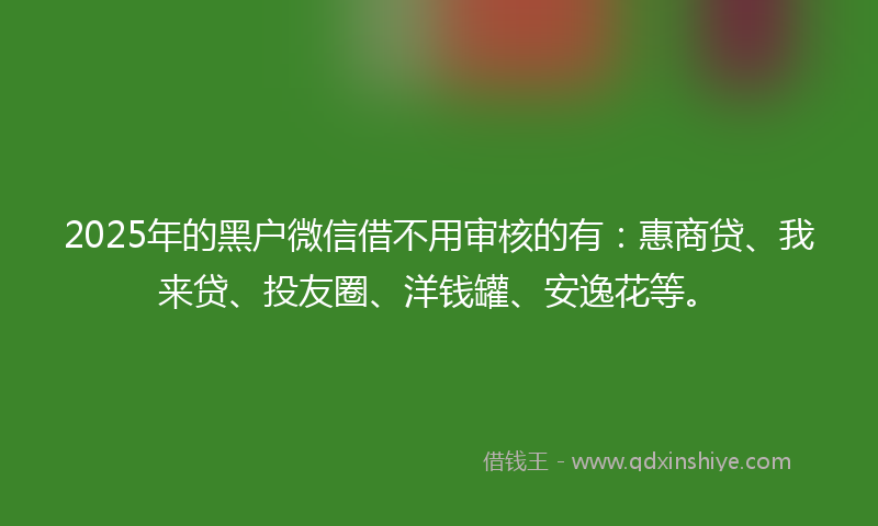 2025年的黑户微信借不用审核的有：惠商贷、我来贷、投友圈、洋钱罐、安逸花等。