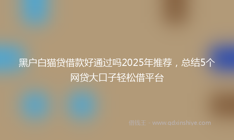 黑户白猫贷借款好通过吗2025年推荐，总结5个网贷大口子轻松借平台