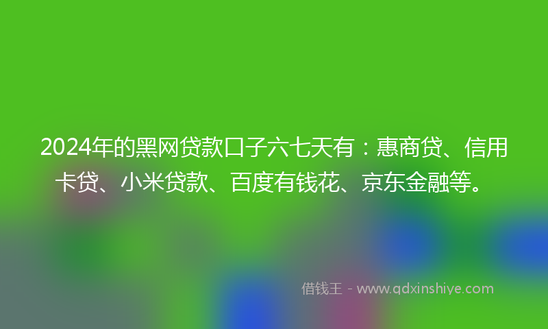 2024年的黑网贷款口子六七天有：惠商贷、信用卡贷、小米贷款、百度有钱花、京东金融等。