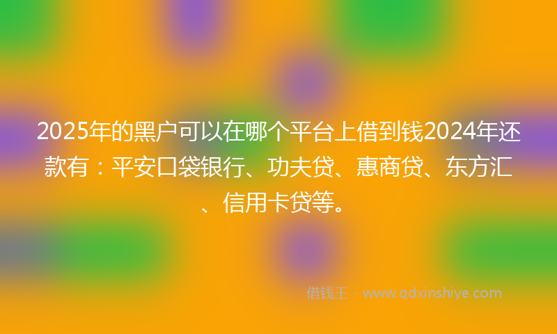 2025年的黑户可以在哪个平台上借到钱2024年还款有：平安口袋银行、功夫贷、惠商贷、东方汇、信用卡贷等。
