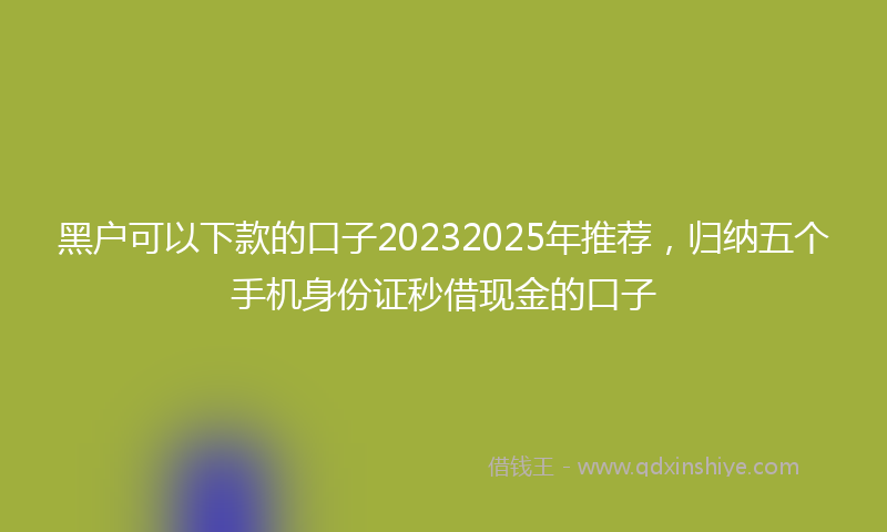 黑户可以下款的口子20232025年推荐，归纳五个手机身份证秒借现金的口子