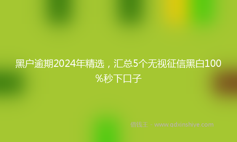 黑户逾期2024年精选，汇总5个无视征信黑白100%秒下口子