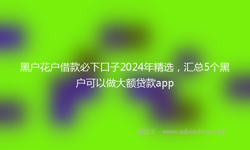 黑户花户借款必下口子2024年精选，汇总5个黑户可以做大额贷款app