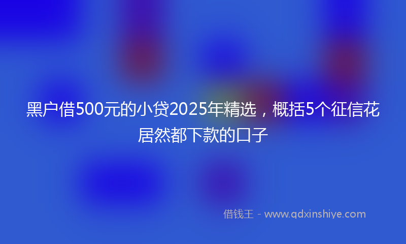 黑户借500元的小贷2025年精选，概括5个征信花居然都下款的口子