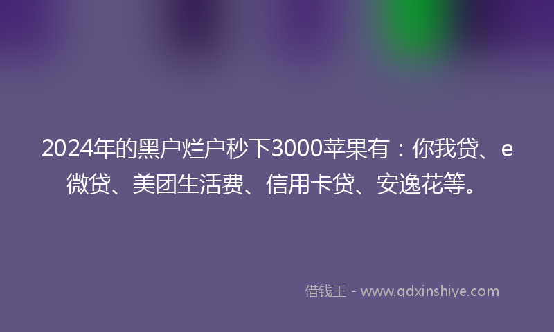 2024年的黑户烂户秒下3000苹果有：你我贷、e微贷、美团生活费、信用卡贷、安逸花等。