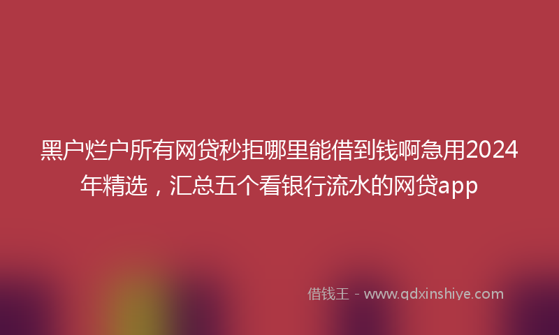 黑户烂户所有网贷秒拒哪里能借到钱啊急用2024年精选，汇总五个看银行流水的网贷app
