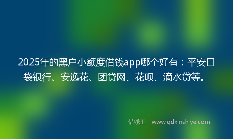 2025年的黑户小额度借钱app哪个好有：平安口袋银行、安逸花、团贷网、花呗、滴水贷等。