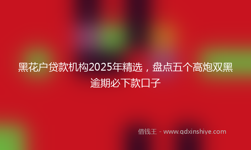 黑花户贷款机构2025年精选，盘点五个高炮双黑逾期必下款口子