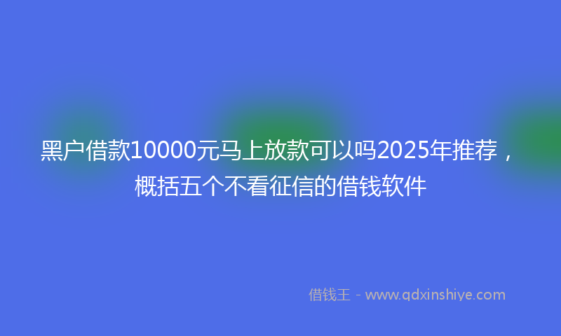 黑户借款10000元马上放款可以吗2025年推荐，概括五个不看征信的借钱软件