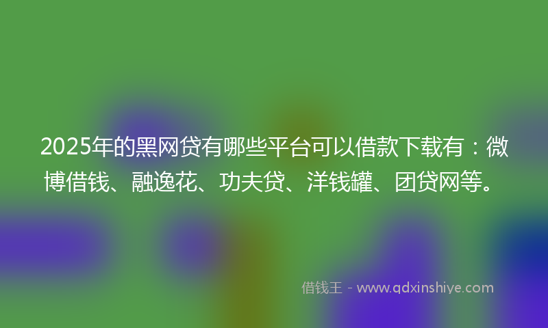 2025年的黑网贷有哪些平台可以借款下载有：微博借钱、融逸花、功夫贷、洋钱罐、团贷网等。