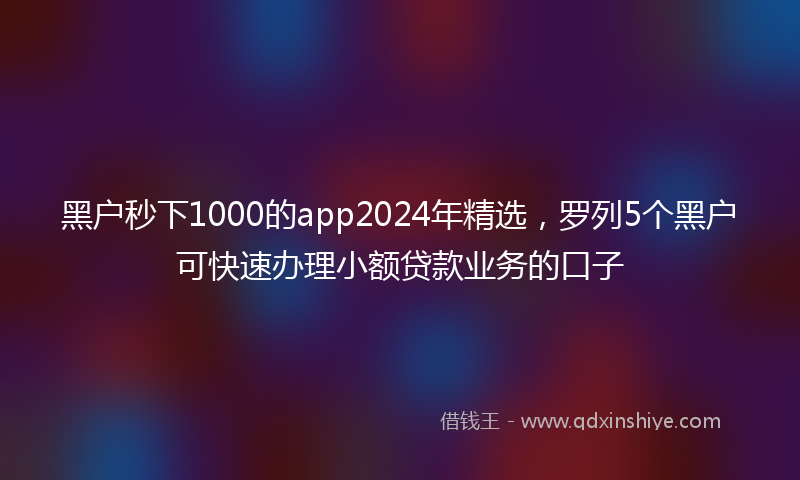 黑户秒下1000的app2024年精选，罗列5个黑户可快速办理小额贷款业务的口子