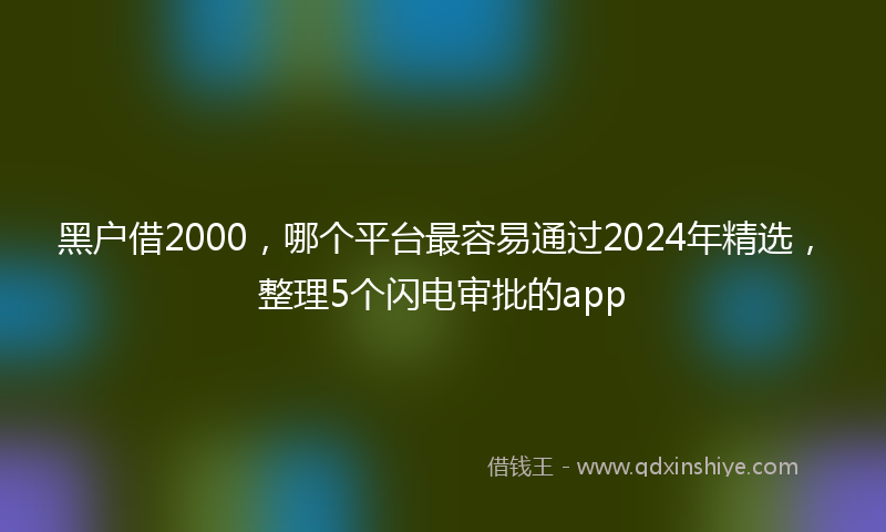 黑户借2000，哪个平台最容易通过2024年精选，整理5个闪电审批的app
