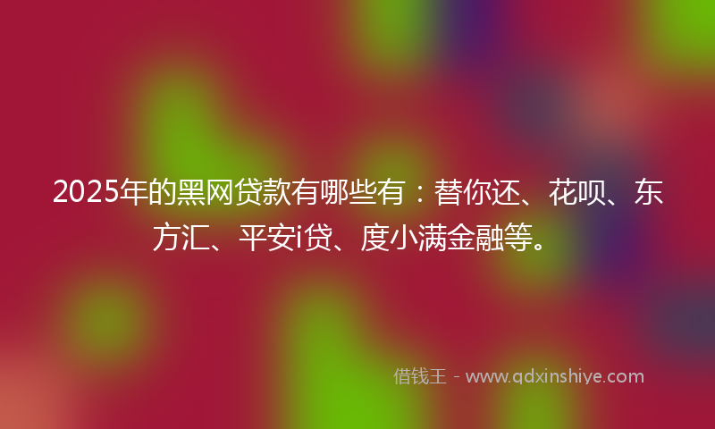2025年的黑网贷款有哪些有：替你还、花呗、东方汇、平安i贷、度小满金融等。