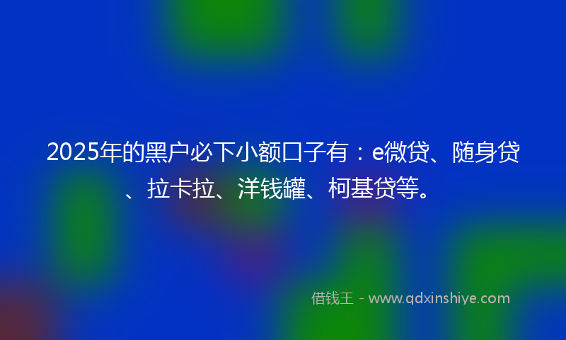 2025年的黑户必下小额口子有：e微贷、随身贷、拉卡拉、洋钱罐、柯基贷等。
