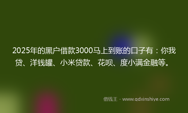2025年的黑户借款3000马上到账的口子有：你我贷、洋钱罐、小米贷款、花呗、度小满金融等。