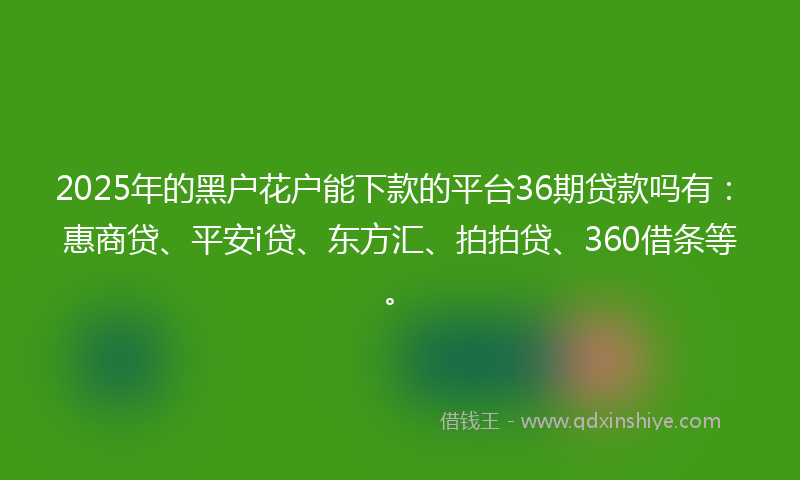2025年的黑户花户能下款的平台36期贷款吗有：惠商贷、平安i贷、东方汇、拍拍贷、360借条等。