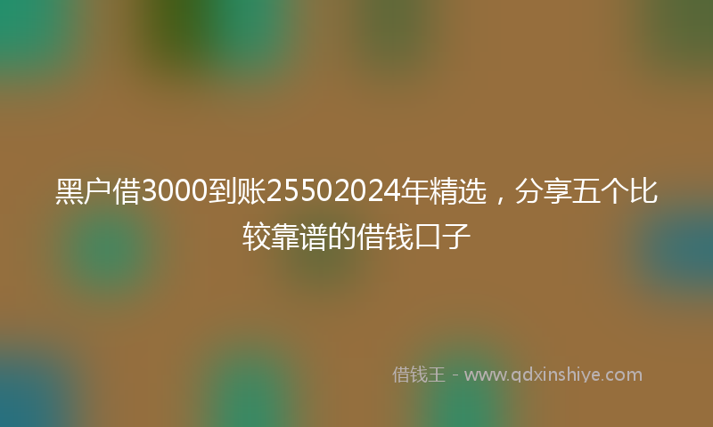 黑户借3000到账25502024年精选，分享五个比较靠谱的借钱口子