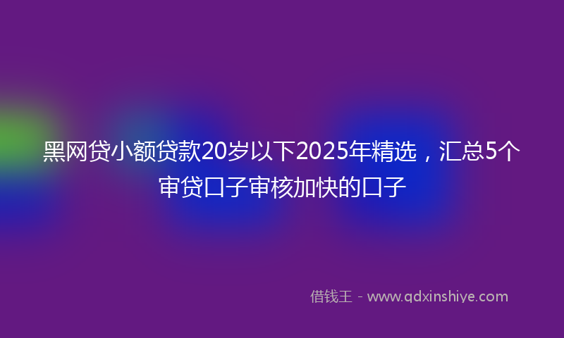黑网贷小额贷款20岁以下2025年精选，汇总5个审贷口子审核加快的口子