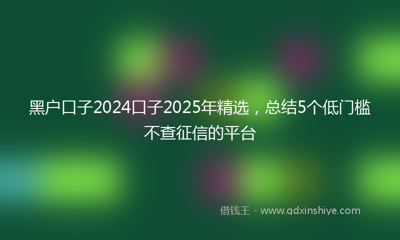 黑户口子2024口子2025年精选，总结5个低门槛不查征信的平台