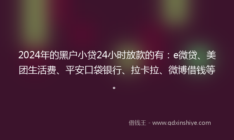 2024年的黑户小贷24小时放款的有：e微贷、美团生活费、平安口袋银行、拉卡拉、微博借钱等。