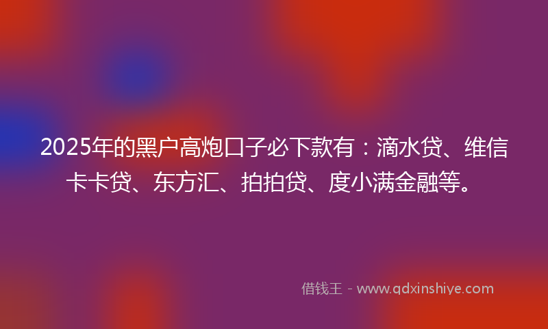 2025年的黑户高炮口子必下款有：滴水贷、维信卡卡贷、东方汇、拍拍贷、度小满金融等。