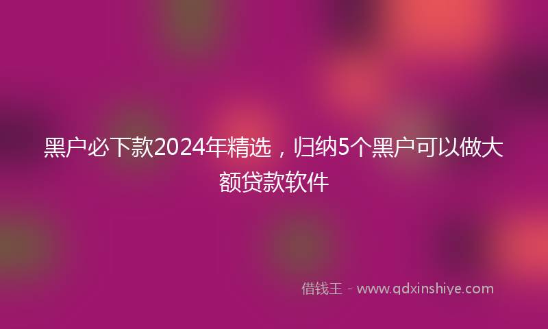 黑户必下款2024年精选，归纳5个黑户可以做大额贷款软件