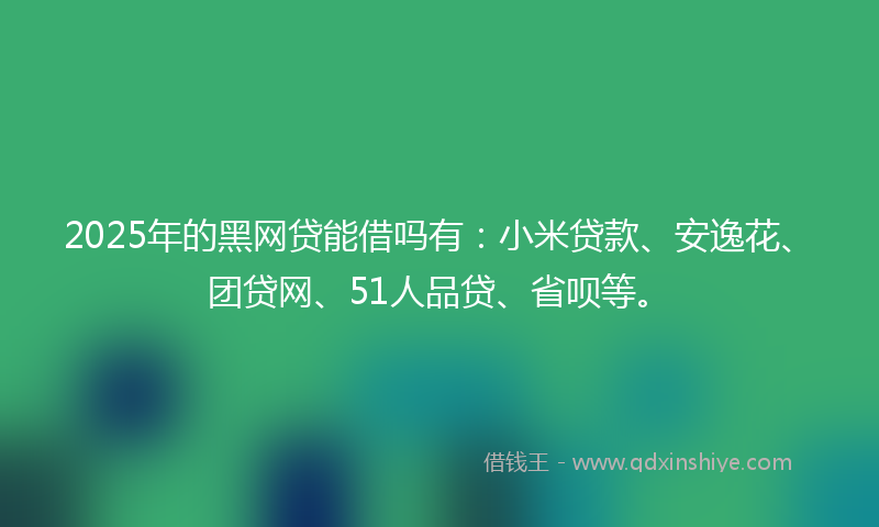 2025年的黑网贷能借吗有：小米贷款、安逸花、团贷网、51人品贷、省呗等。
