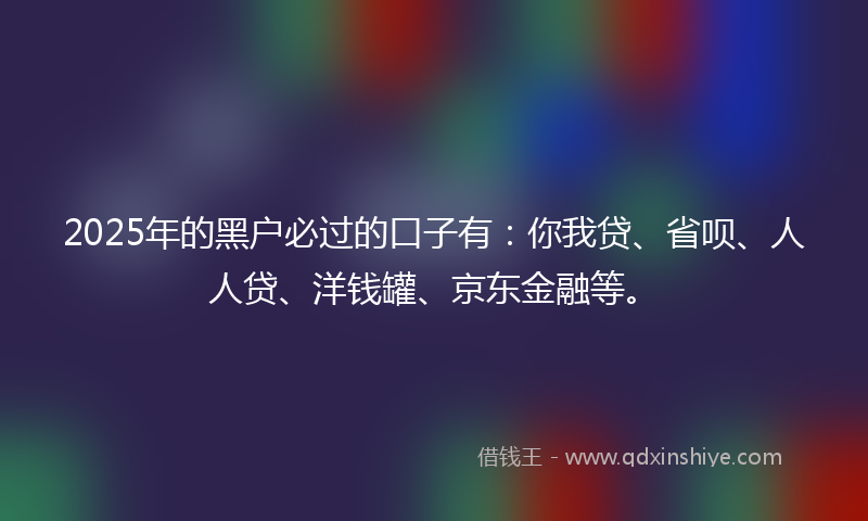 2025年的黑户必过的口子有：你我贷、省呗、人人贷、洋钱罐、京东金融等。
