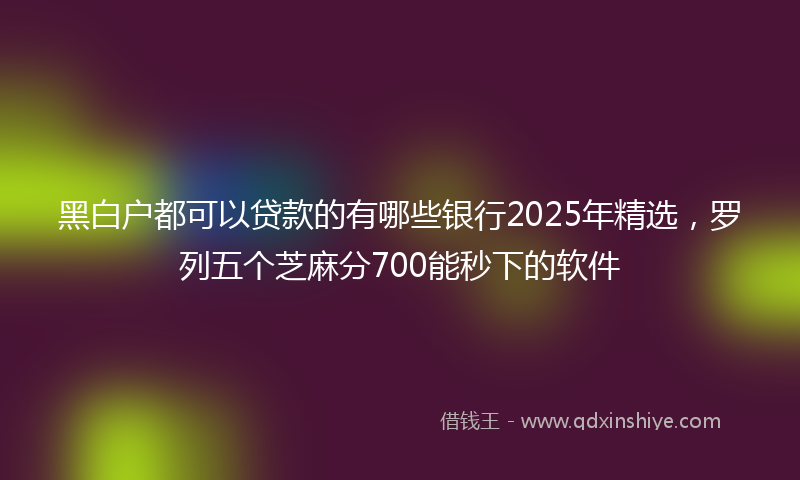 黑白户都可以贷款的有哪些银行2025年精选，罗列五个芝麻分700能秒下的软件