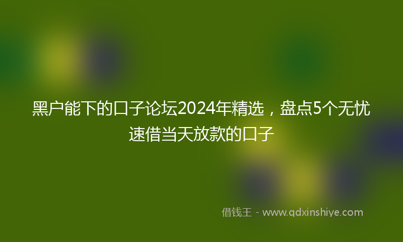 黑户能下的口子论坛2024年精选，盘点5个无忧速借当天放款的口子