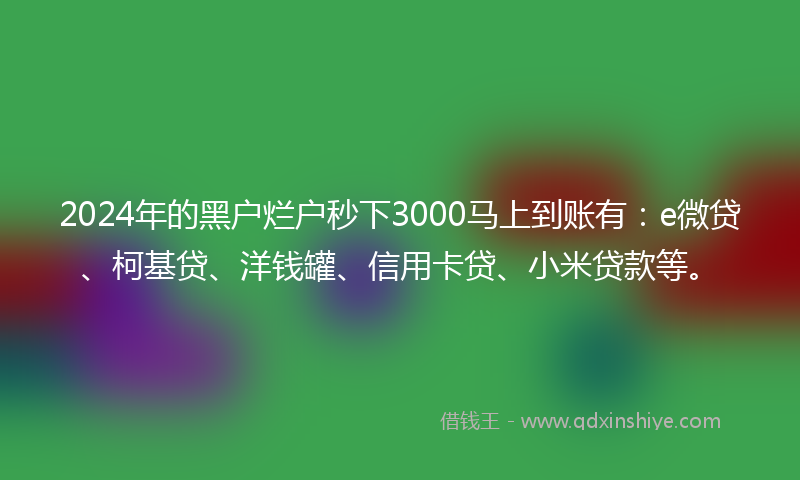 2024年的黑户烂户秒下3000马上到账有：e微贷、柯基贷、洋钱罐、信用卡贷、小米贷款等。