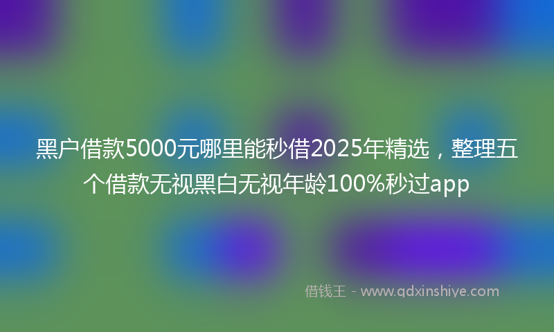 黑户借款5000元哪里能秒借2025年精选，整理五个借款无视黑白无视年龄100%秒过app