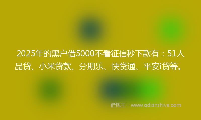 2025年的黑户借5000不看征信秒下款有：51人品贷、小米贷款、分期乐、快贷通、平安i贷等。