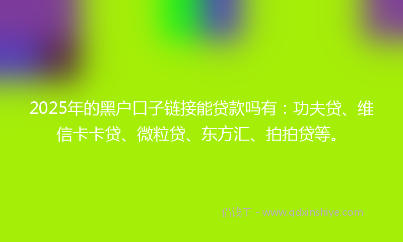 2025年的黑户口子链接能贷款吗有：功夫贷、维信卡卡贷、微粒贷、东方汇、拍拍贷等。