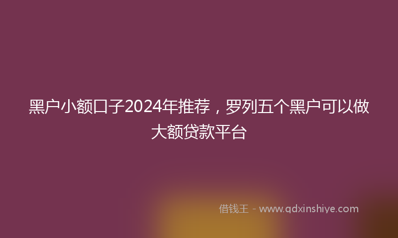 黑户小额口子2024年推荐，罗列五个黑户可以做大额贷款平台