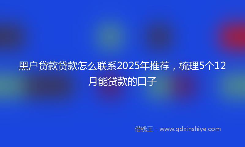 黑户贷款贷款怎么联系2025年推荐，梳理5个12月能贷款的口子