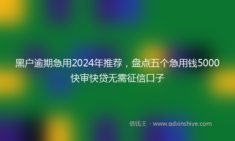 黑户逾期急用2024年推荐，盘点五个急用钱5000快审快贷无需征信口子