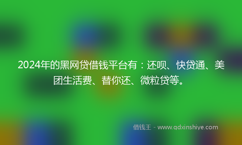 2024年的黑网贷借钱平台有：还呗、快贷通、美团生活费、替你还、微粒贷等。