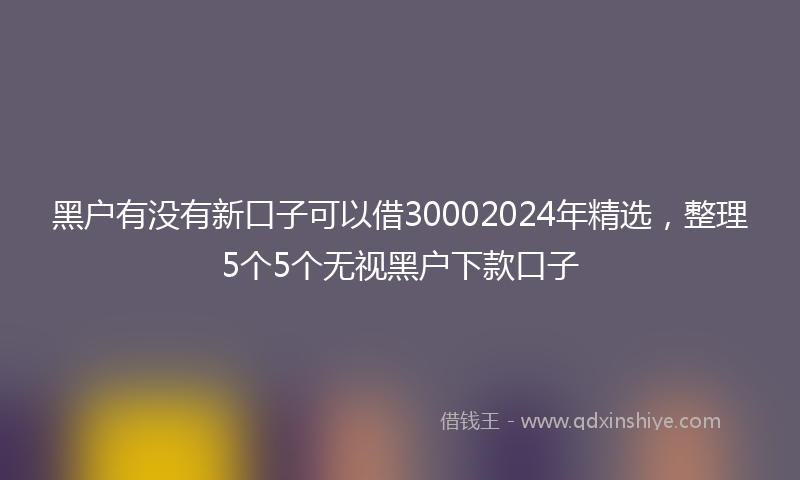 黑户有没有新口子可以借30002024年精选，整理5个5个无视黑户下款口子