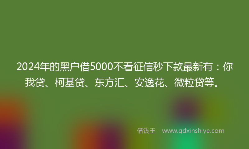 2024年的黑户借5000不看征信秒下款最新有：你我贷、柯基贷、东方汇、安逸花、微粒贷等。