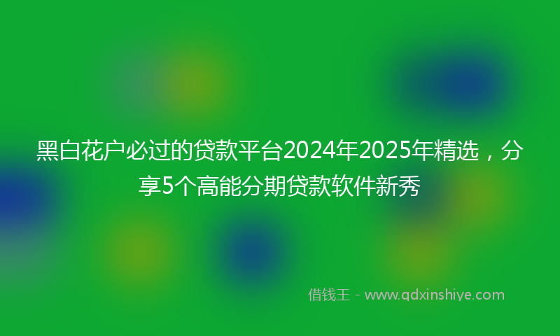 黑白花户必过的贷款平台2024年2025年精选，分享5个高能分期贷款软件新秀