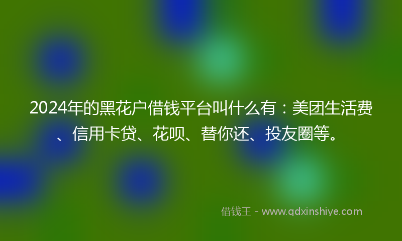 2024年的黑花户借钱平台叫什么有：美团生活费、信用卡贷、花呗、替你还、投友圈等。