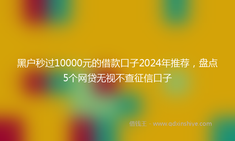 黑户秒过10000元的借款口子2024年推荐，盘点5个网贷无视不查征信口子