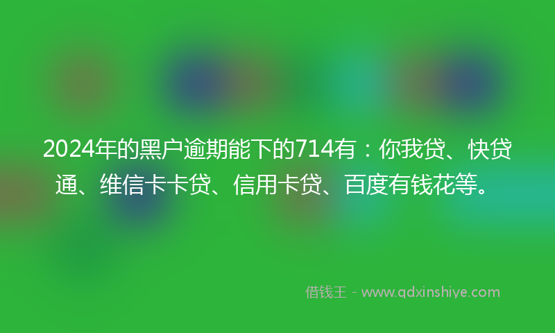 2024年的黑户逾期能下的714有：你我贷、快贷通、维信卡卡贷、信用卡贷、百度有钱花等。