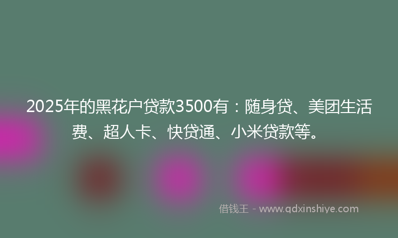 2025年的黑花户贷款3500有：随身贷、美团生活费、超人卡、快贷通、小米贷款等。