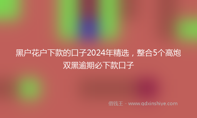 黑户花户下款的口子2024年精选，整合5个高炮双黑逾期必下款口子
