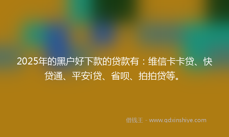 2025年的黑户好下款的贷款有：维信卡卡贷、快贷通、平安i贷、省呗、拍拍贷等。