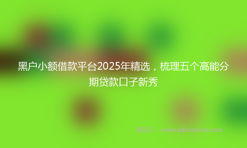 黑户小额借款平台2025年精选，梳理五个高能分期贷款口子新秀