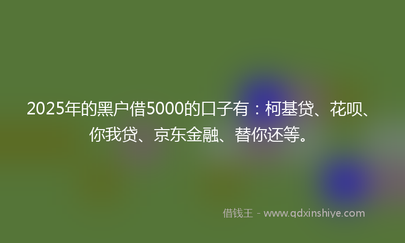2025年的黑户借5000的口子有：柯基贷、花呗、你我贷、京东金融、替你还等。