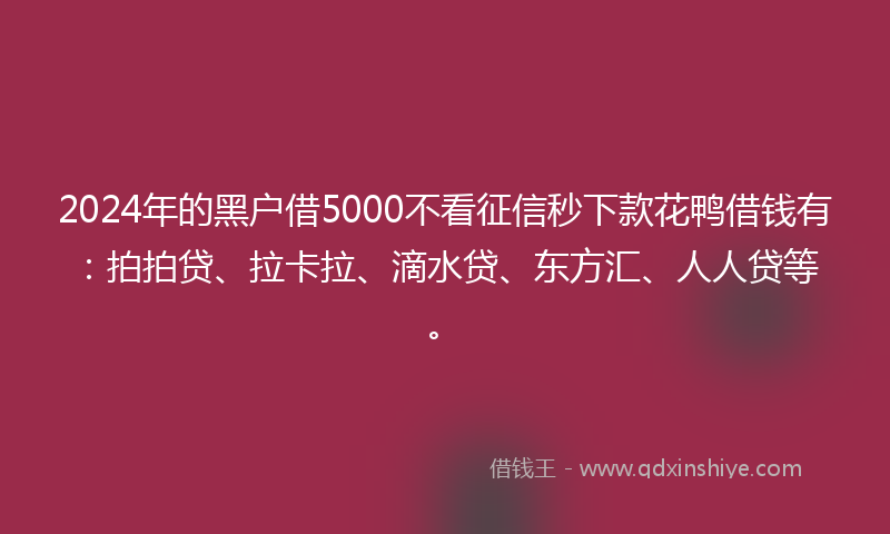 2024年的黑户借5000不看征信秒下款花鸭借钱有：拍拍贷、拉卡拉、滴水贷、东方汇、人人贷等。